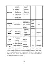 Biznesa plāns 'SIA „Aircamp”', 30.