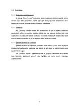 Biznesa plāns 'SIA „Aircamp”', 31.