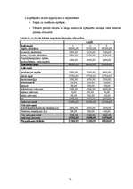 Biznesa plāns 'SIA „Aircamp”', 34.