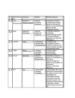 Konspekts 'Medicīnas terminoloģija, terminelementi', 1.