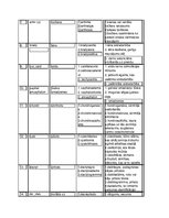 Konspekts 'Medicīnas terminoloģija, terminelementi', 2.