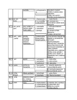 Konspekts 'Medicīnas terminoloģija, terminelementi', 7.