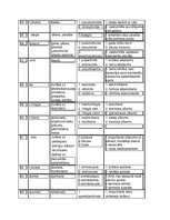 Konspekts 'Medicīnas terminoloģija, terminelementi', 8.