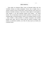 Referāts 'Deja', 6.