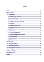 Referāts 'Uzņēmuma AS "Dzintars" organizatoriskās struktūras konversija', 2.