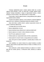 Referāts 'Uzņēmuma AS "Dzintars" organizatoriskās struktūras konversija', 3.