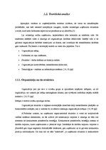 Referāts 'Uzņēmuma AS "Dzintars" organizatoriskās struktūras konversija', 15.