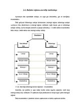 Referāts 'Uzņēmuma AS "Dzintars" organizatoriskās struktūras konversija', 24.