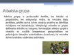 Prezentācija 'Sociālais darbs ar grupu', 10.