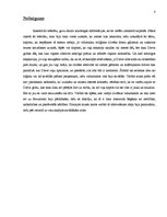 Referāts 'Krusta kari - svētās zemes atbrīvošana vai iekarošana?', 8.