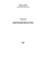 Referāts 'Latvijas baleta pirmsākumi', 1.