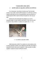 Prakses atskaite 'Lauksaimniecības prakses atskaite', 5.