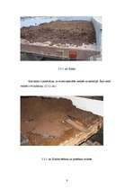 Prakses atskaite 'Lauksaimniecības prakses atskaite', 9.