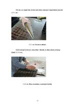 Prakses atskaite 'Lauksaimniecības prakses atskaite', 11.