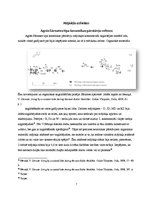 Referāts 'Narvas kultūras dzīvesvietas Latvijas teritorijā un Sārnates apmetne no sociālās', 7.