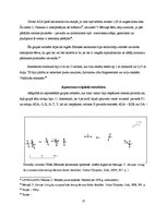 Referāts 'Narvas kultūras dzīvesvietas Latvijas teritorijā un Sārnates apmetne no sociālās', 11.
