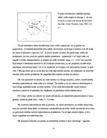 Referāts 'Narvas kultūras dzīvesvietas Latvijas teritorijā un Sārnates apmetne no sociālās', 22.