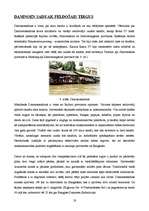 Referāts 'Taizeme', 19.