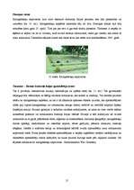 Referāts 'Taizeme', 21.