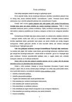 Referāts 'Sods krimināltiesībās', 7.