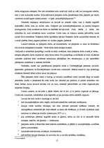 Referāts 'Sods krimināltiesībās', 17.