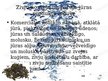 Prezentācija 'Zivju nozveja un pārējo jūras produktu ieguve Latvijā', 6.