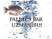 Prezentācija 'Zivju nozveja un pārējo jūras produktu ieguve Latvijā', 19.