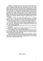 Referāts 'Mati', 3.