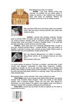 Referāts 'Mati', 5.