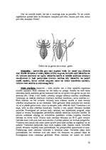 Referāts 'Mati', 10.