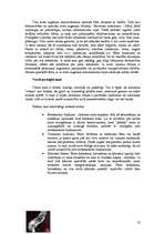 Referāts 'Mati', 12.