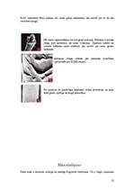 Referāts 'Mati', 13.