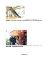 Prezentācija 'Simetrijas matemātikā', 3.