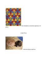 Prezentācija 'Simetrijas matemātikā', 4.