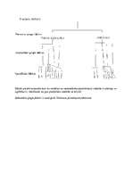 Konspekts 'Psihometrisko (faktoranalītisko) intelekta teoriju evolūcija', 2.