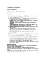 Konspekts 'Prakse II sākumskola 1.-3.kl', 11.