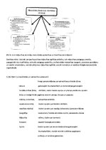 Konspekts 'Atbildes uz jautājumiem mājturības metodikā', 5.