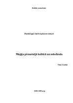 Konspekts 'Maģija pirmatnējā kultūrā un mūsdienās', 1.