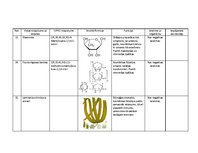 Konspekts 'Ķermeņa kopšanas līdzekļa "Bioderma Hydrabio Legere" sastāva analīze', 5.