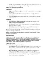 Konspekts 'Neironu tīkli', 2.