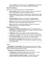 Konspekts 'Neironu tīkli', 4.