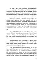 Referāts 'Latvijas valsts 2007.gada budžets', 13.