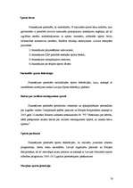 Referāts 'Latvijas valsts 2007.gada budžets', 20.