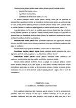 Referāts 'Naudas uzskaite, kontrole un analīze', 17.