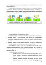 Referāts 'Fermentatīvā katalīze, tās nozīme DNS replikācijas procesā', 5.