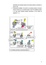 Referāts 'Fermentatīvā katalīze, tās nozīme DNS replikācijas procesā', 6.