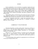 Eseja 'Mācību centra X izveides un darbības aspekti', 5.