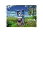 Referāts 'Piena "Lāse" mārketinga pētījums', 3.