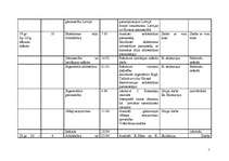 Konspekts 'Mākslas vēstures tematiskais plāns 11.klasei', 5.