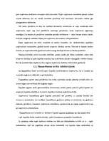 Referāts 'Uzņēmuma finansēšanas avoti', 6.